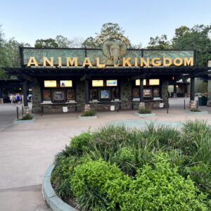 animal kingdom