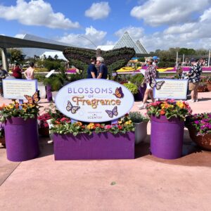 blossoms of fragrance